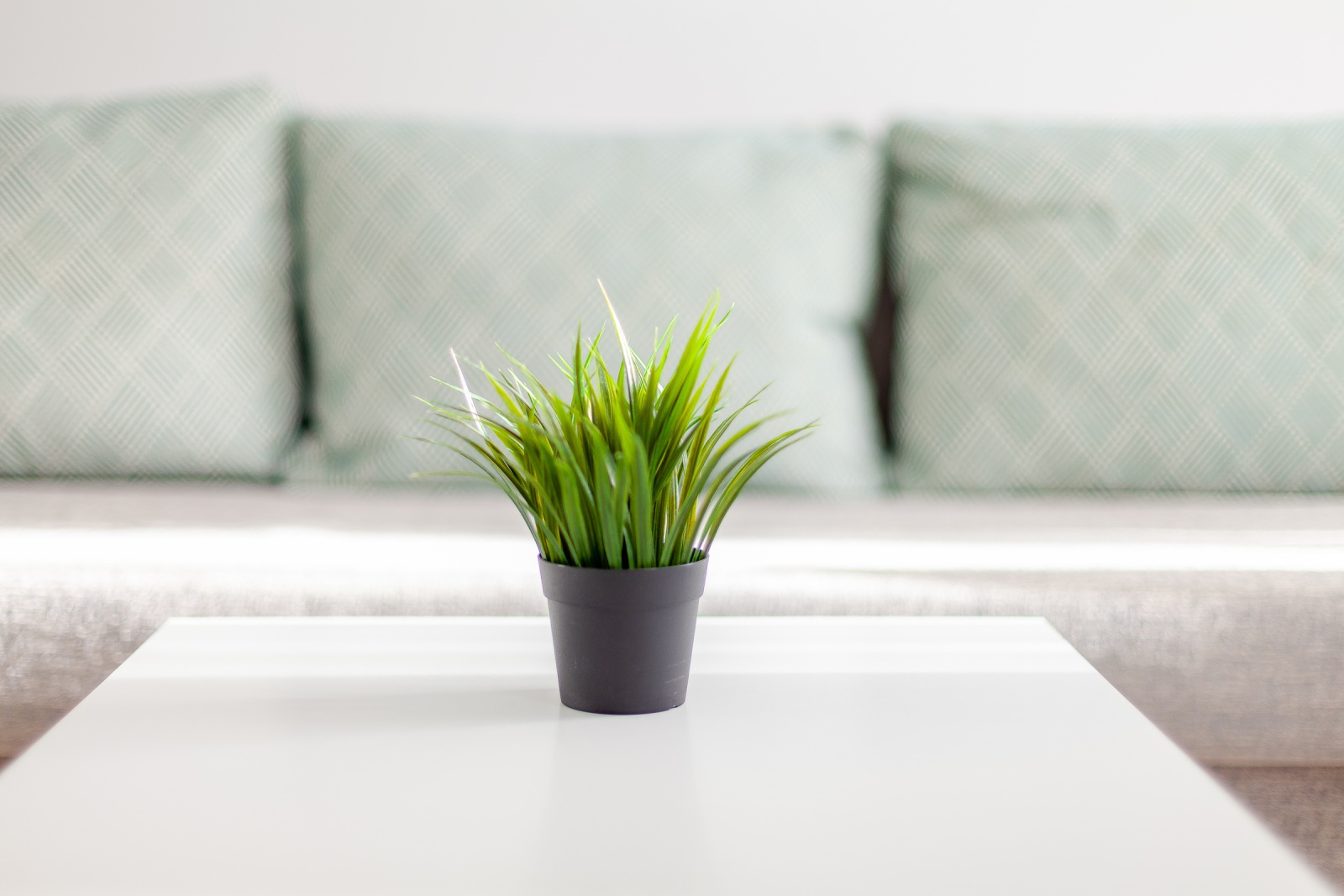 Апарт студия RentPlaza proseka