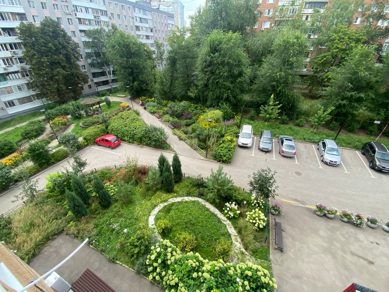 Оазис гармонии